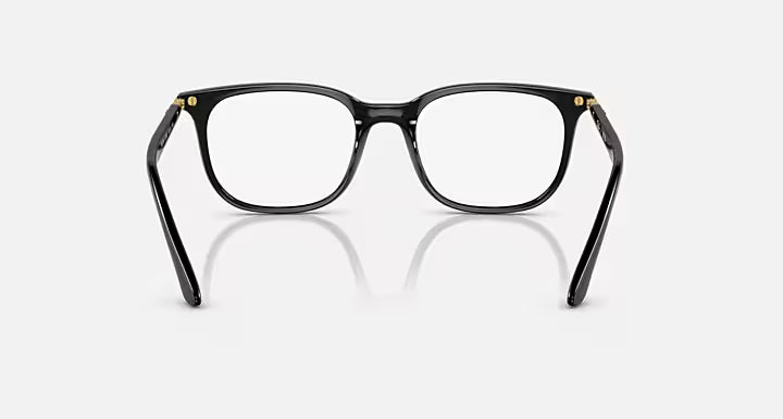 Ray-Ban ERICK OPTICS